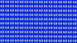 Quick Speed Challenge: Spot the 86 and 98 Among 68s in Just 5 Seconds