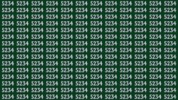 Optical Illusion Alert: Can You Spot the 5324 Among 5234 in Just 9 Seconds?