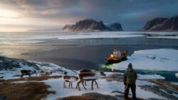 Meteorologists warn early February Arctic shift has scientists alarmed over a looming biological tipping point