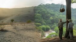 After 25 years of reforestation, once-barren landscapes are now absorbing millions of tons of CO annually