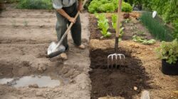 They taught you to do this in the garden – but this rule often does more harm than good