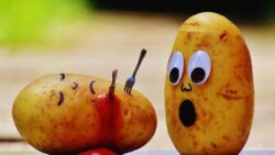 Unveiling the Truth: Why Sweet Potatoes and Regular Potatoes Aren't Even Distant Relatives