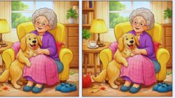 8-Second Challenge: Spot 3 Differences in the Grandma and Dog Image Before Time Ends