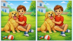 12-Second Challenge: Can You Find 3 Differences in the Boy and Dog Picture