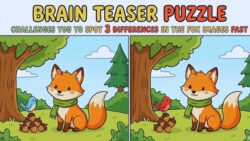 Brain Teaser Puzzle That Challenges You to Spot 3 Differences in the Fox Images Quickly