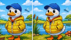 8-Second Visual Challenge: Can You Catch the 3 Differences in the Duck Wearing a Jacket