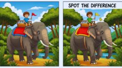 Spot the Difference Puzzle: Can You Identify 3 Changes in the Boy Riding an Elephant